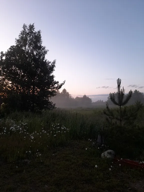 Дом из бревна