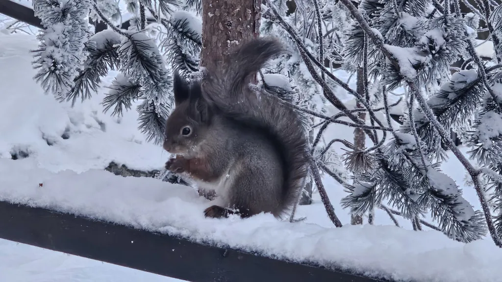 Дом на берегу