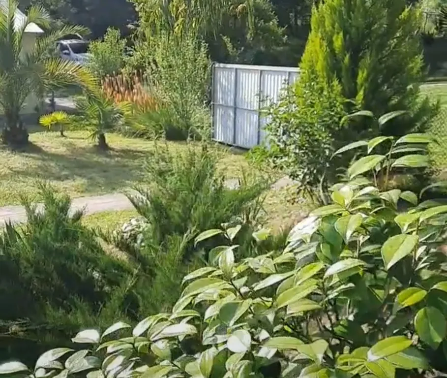 Вилла с парком под ключ