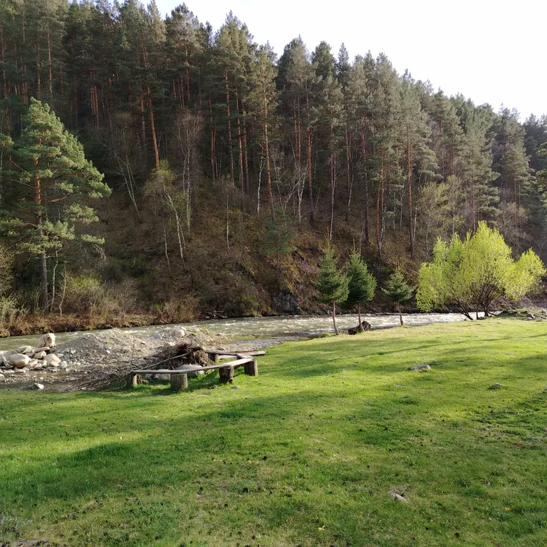 Глубинка Алтая, дом с камином на берегу реки