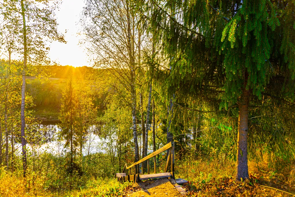 Коттедж Уютный коттедж на берегу реки — Волхов