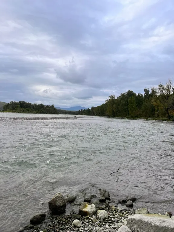 Кедровый дом со всеми удобствами большой террасой, баней