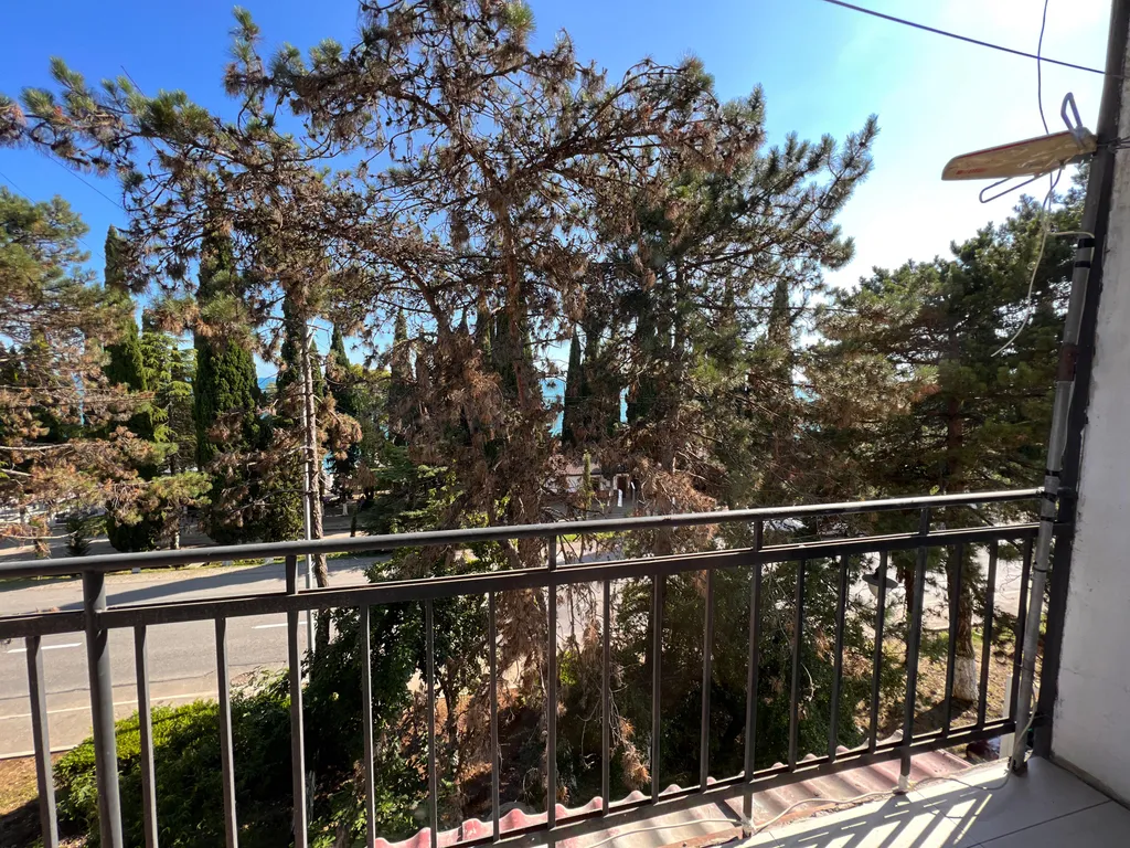 Однокомнатная квартира у моря