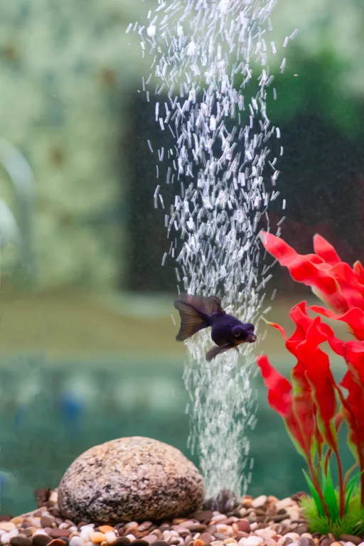 Гостевой дом-баня Opushka