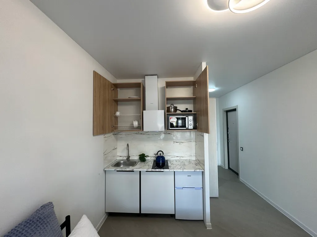 Студия с видом на парк