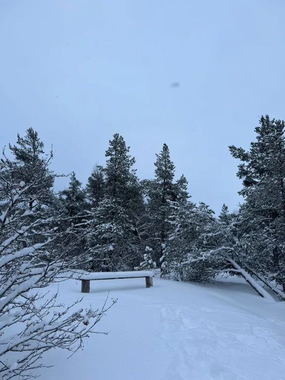 Коттедж Дом в окружении леса и скал — Мережнаволок