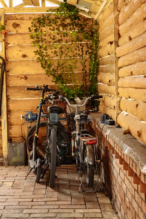 Ночь в музее