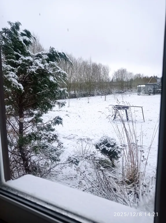 Апартаменты с камином