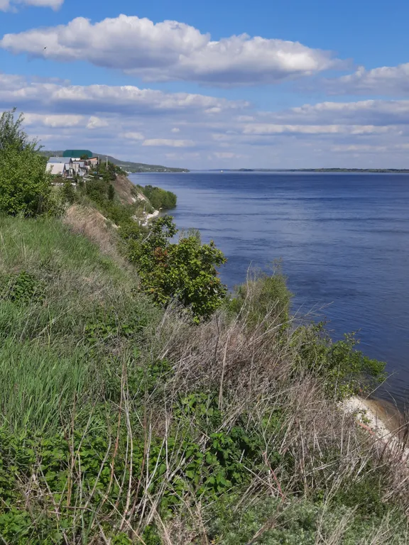 Домик на берегу Волги, на опушке леса