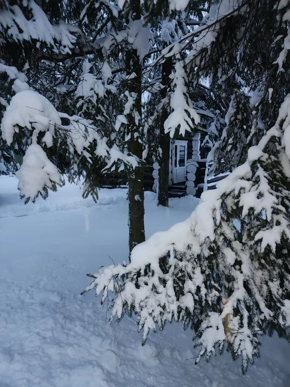 Уютный бревенчатый дом и баня, на одном участке