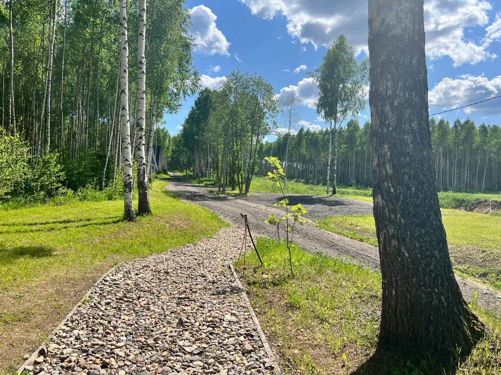 Уютный дом в лесном массиве недалеко от реки