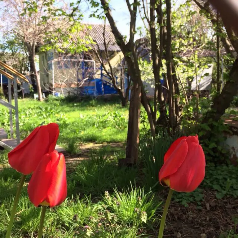 Уютный Домик у горной реки Вулан