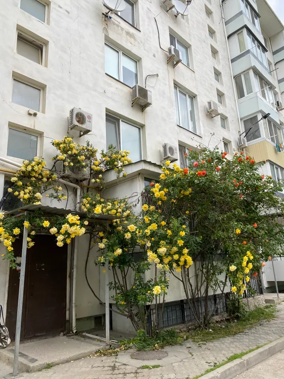 Современная и стильная квартира класса люкс у самого моря