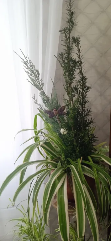 Квартира с бабочками