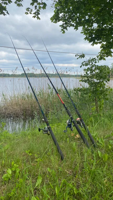 Уютный домик для семьи