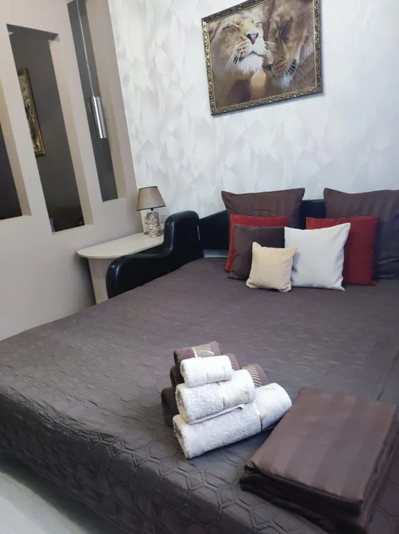 Квартира с хорошим ремонтом в О'Пушкино