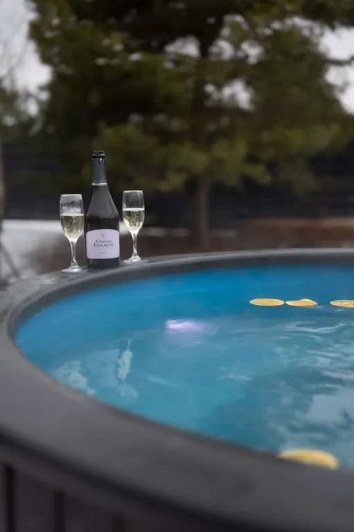 Коттедж 1-комнатный Дом — Александров