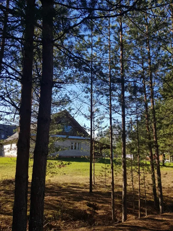 Усадьба Сосновый хутор на берегу реки Мста