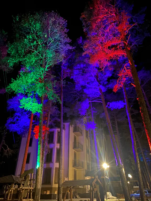 Квартира в сосновом бору