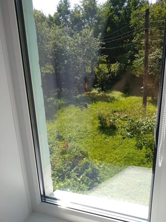 Апарт в сосновом бору