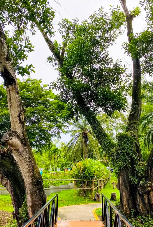 Laguna Park Phuket 5BR Villa with Rooftop Pool 31777