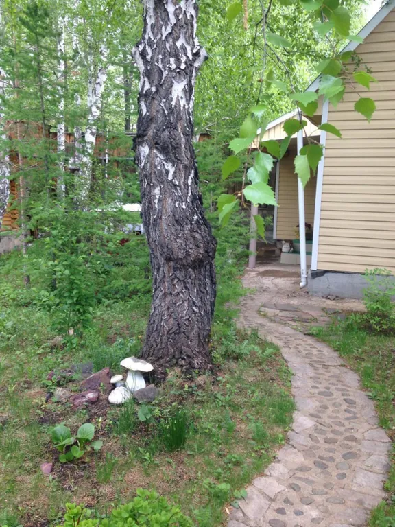 2к Дом в лесу