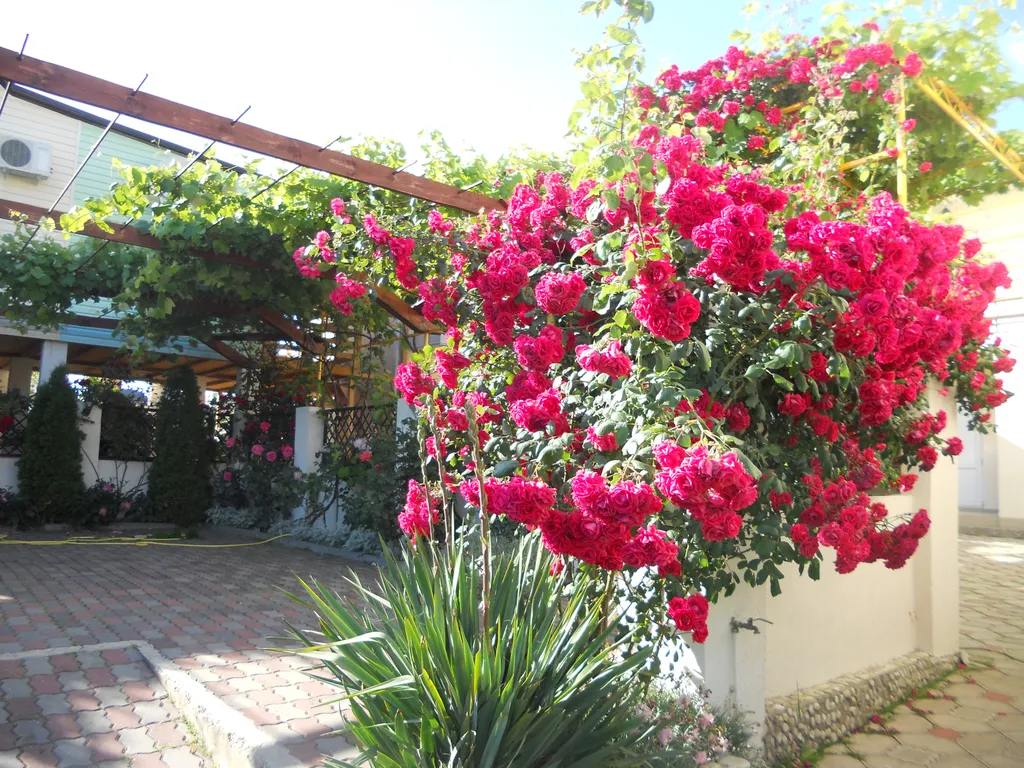 Бюджетный отдых в уютном коттедже