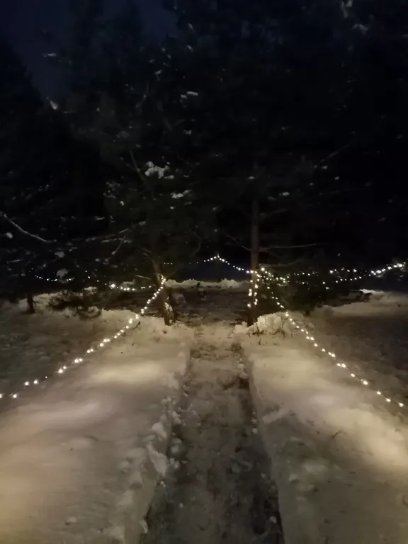 Романтический отдых в доме на границе с лесом