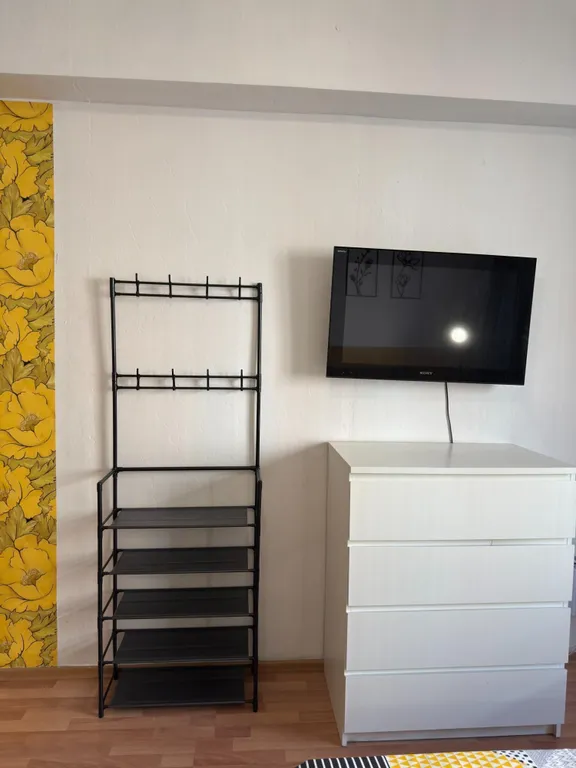 Уютная однокомнатная квартира