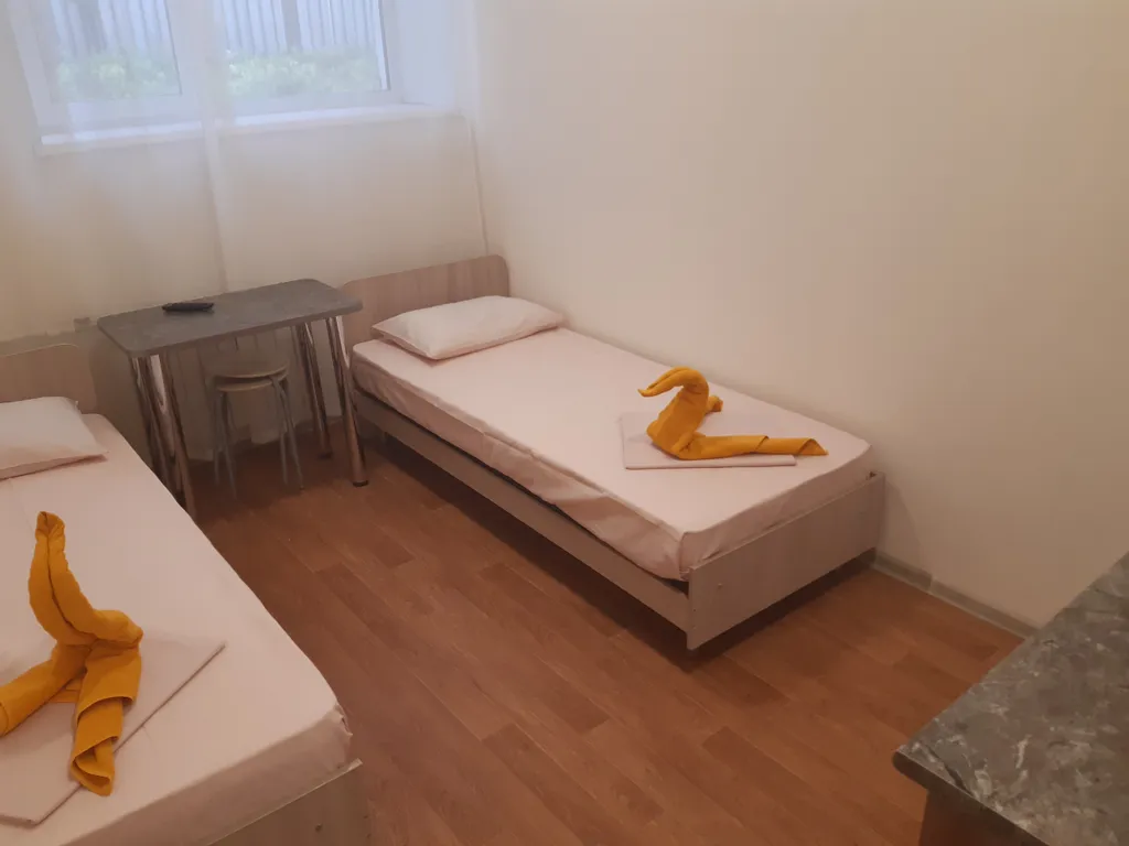 Двухместная студия в Гостевом доме Домашний