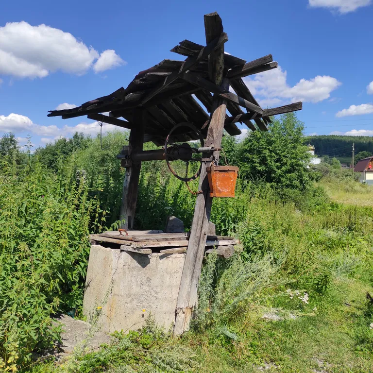 Видовой дом в лесу