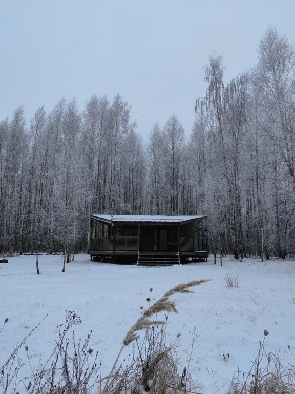 Домик в лесу