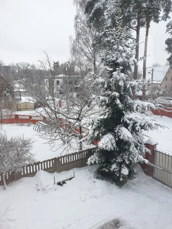 Квартира Уютная комната с видом на природу — Калининград