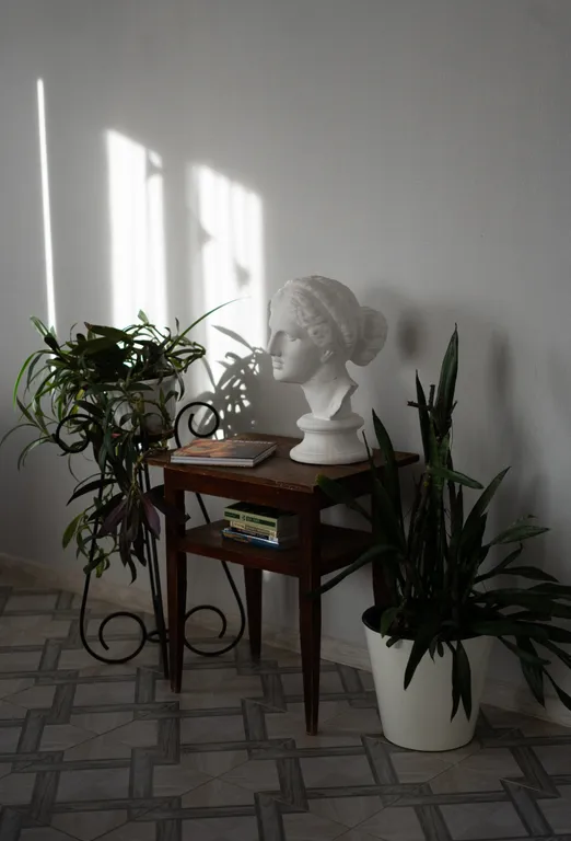 Aerograd Guest House