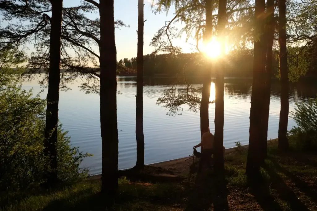 Эко отель Смородина