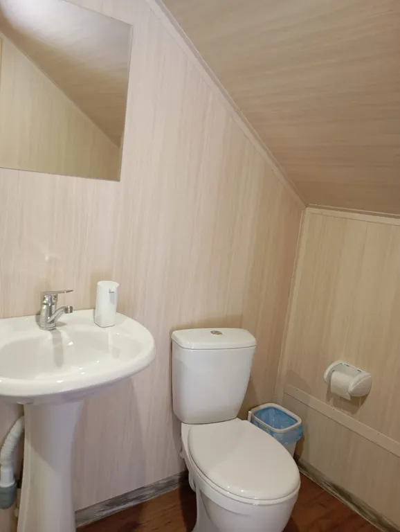 Мансарда-студия с отдельным входом