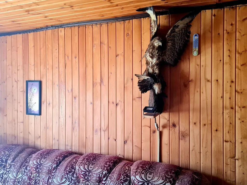 Коттедж с бильярдом и панорамной закрытой террасой