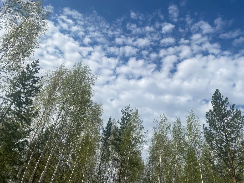 Дом на озере Увильды