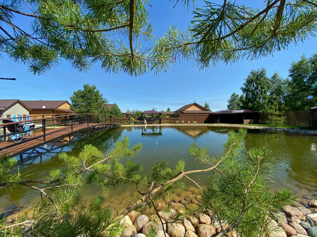 Коттедж в лесу у пруда