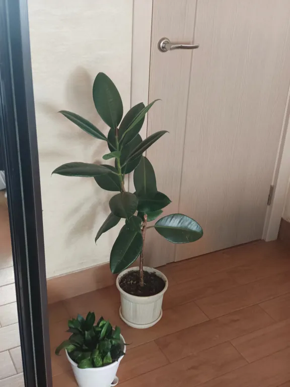 Уютный домик, рынок озеро комсомольский парк