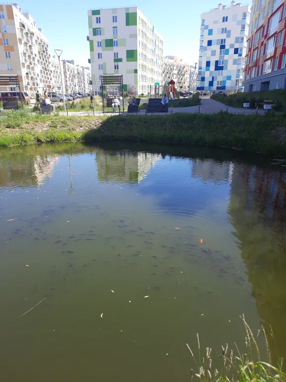 Квартира Уютная, современная квартира на море — Светлогорск