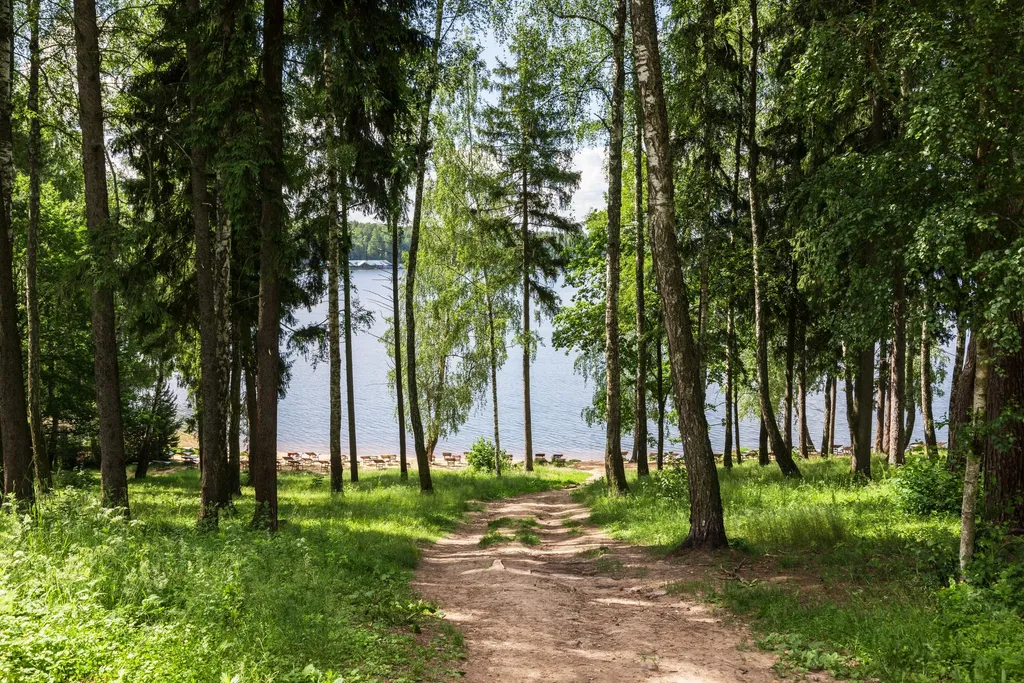 Коттедж Уютный дом с баней, вблизи водохранилища — Лопотово