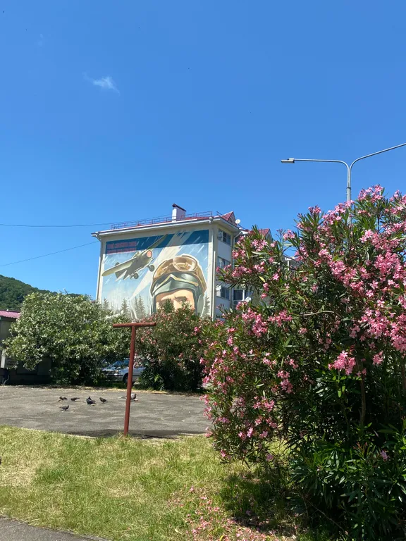 Квартира Светлая, уютная, солнечная однокомнатная квартира — Сириус