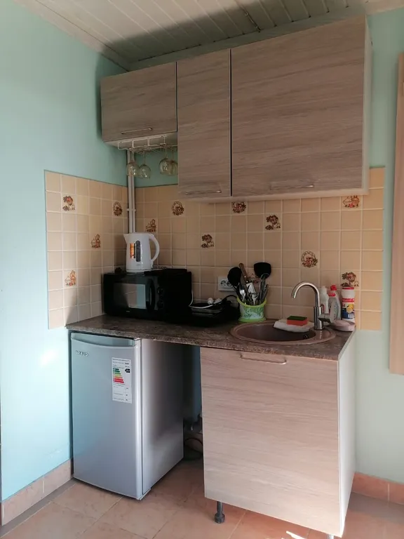 Квартира 1-комнатная Квартира — Луга