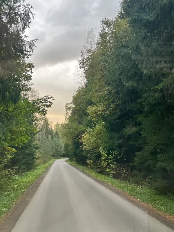 Уютный дом A-Frame в лесу