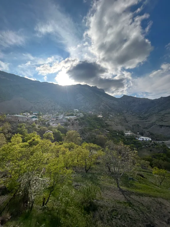 Большой уютный дом