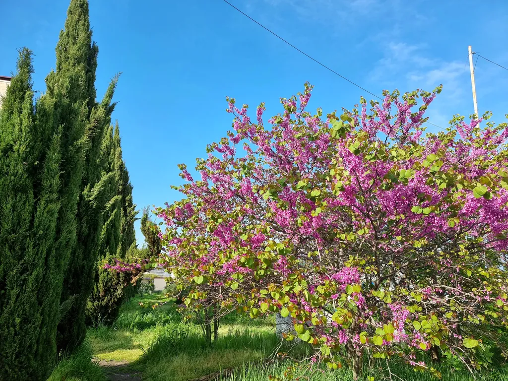 На самом берегу моря квартира для Вашей семьи