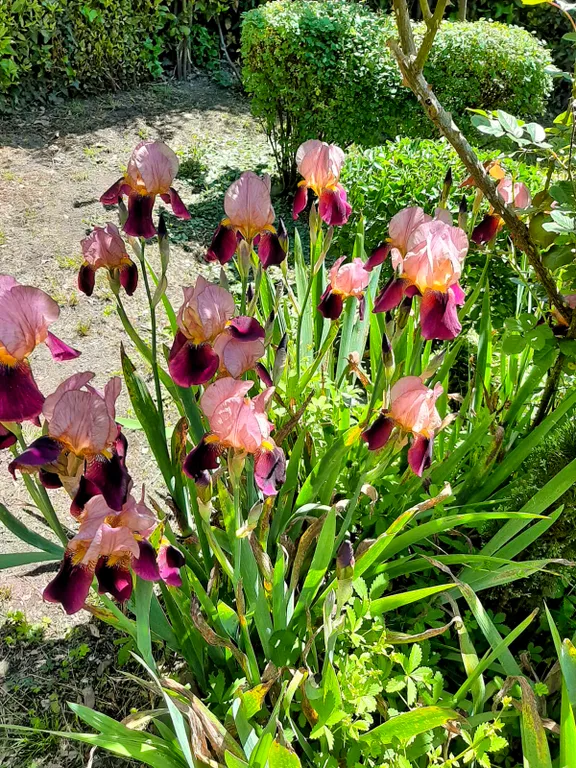 Гостевой дом Anna