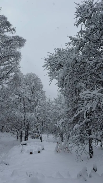 Квартира Комната — Архыз
