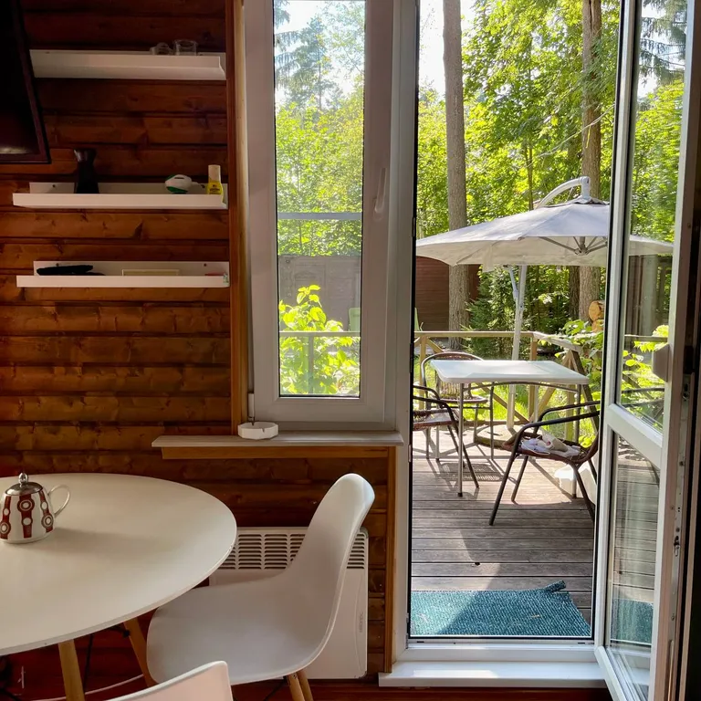 Уютная дача в Репино